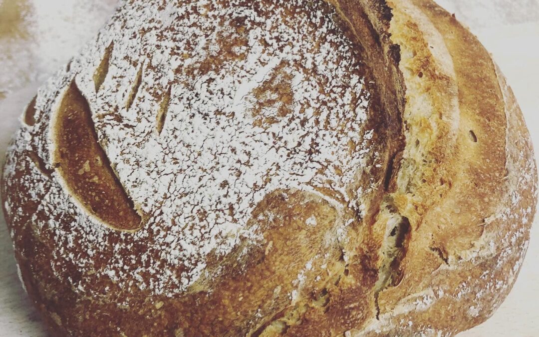 Du pain Lo camin de pepe ?